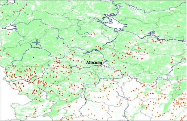 ИКИ РАН: из-за самоизоляции сократилось количество лесных пожаров